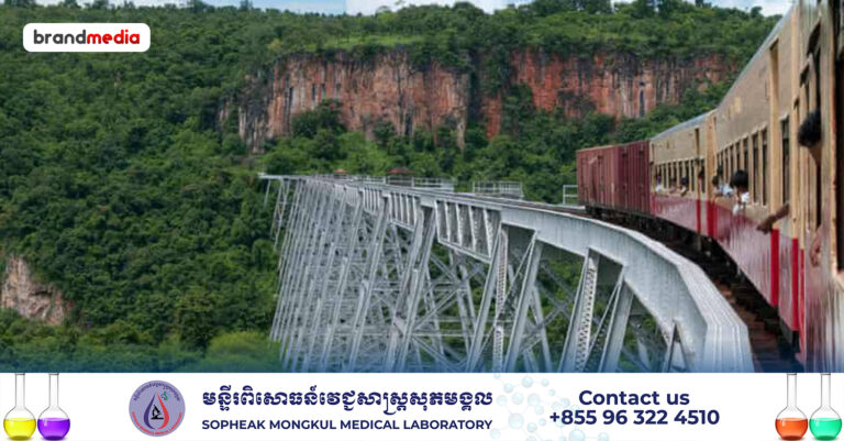 យោធាមីយ៉ាន់ម៉ា ចោទក្រុមប្រដាប់អាវុធថា ទម្លាក់គ្រាប់បែកកម្ទេចស្ពាន​ប្រវត្តិសាស្ត្រ ដែលធ្លាប់ជាផ្លូវរថភ្លើងខ្ពស់ជាងគេលើពិភពលោក​